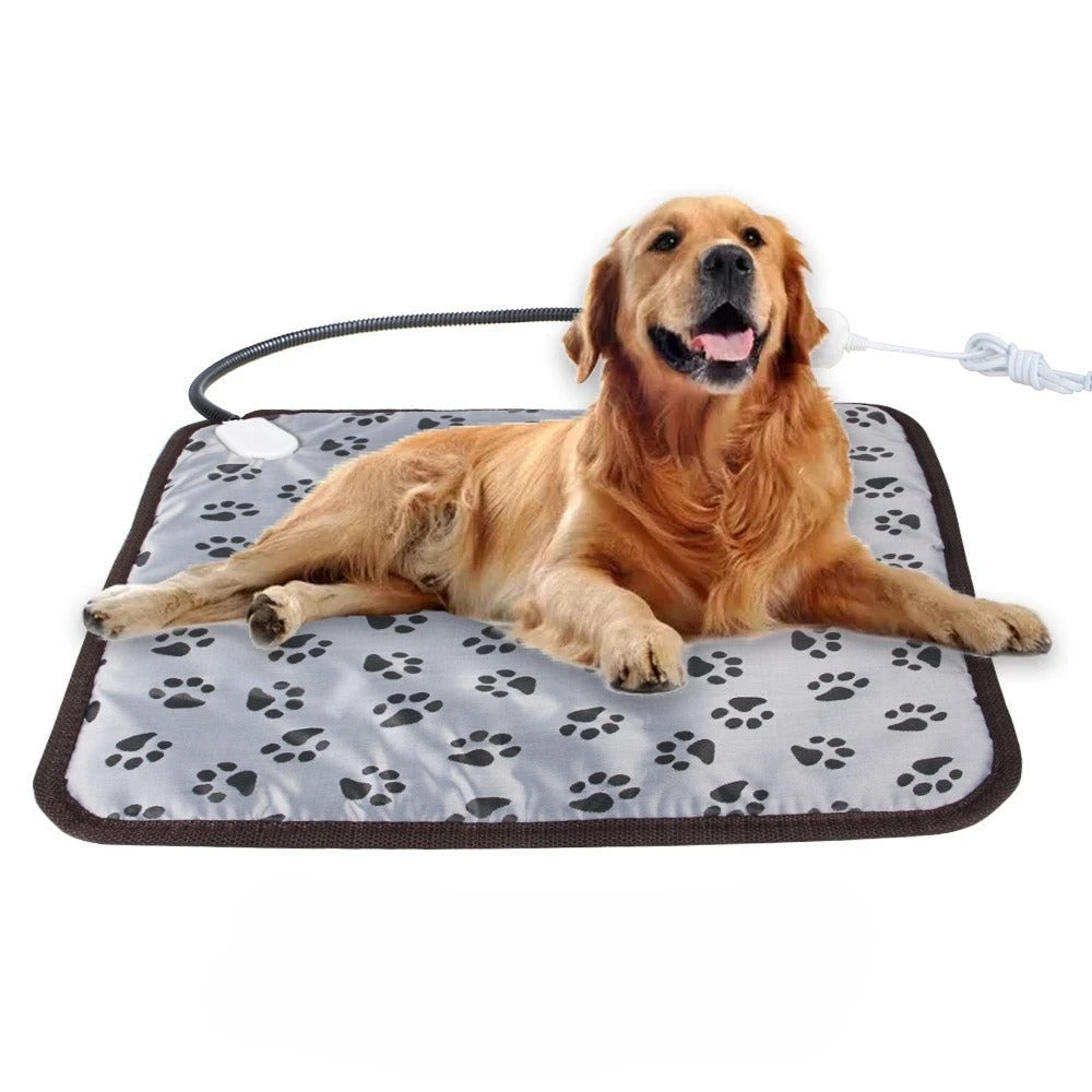 Heated Pet Bed