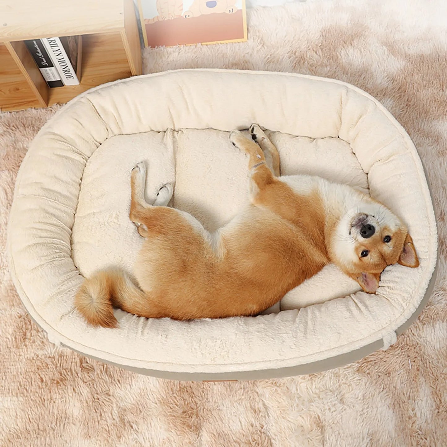 Comfort Suede and Velvet Plush Dog Bed